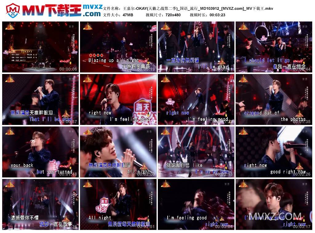 王嘉尔-OKAY(天籁之战第二季)_国语_流行_MD103912